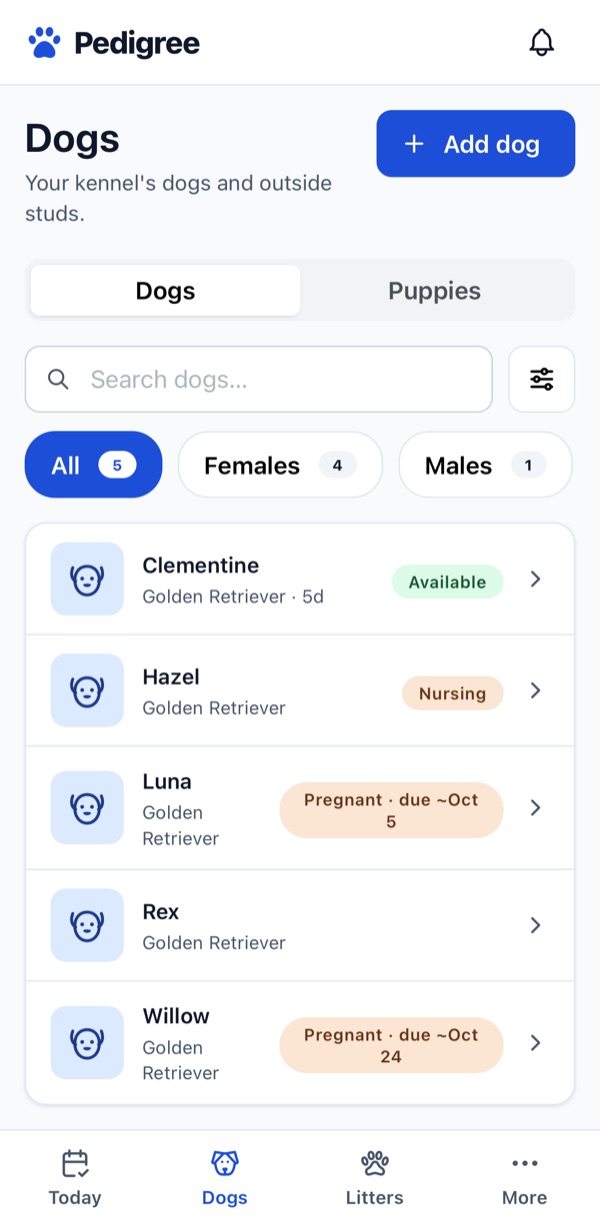 Dogs list showing five Golden Retrievers with statuses: Available, Nursing, and Pregnant with an approximate due date.