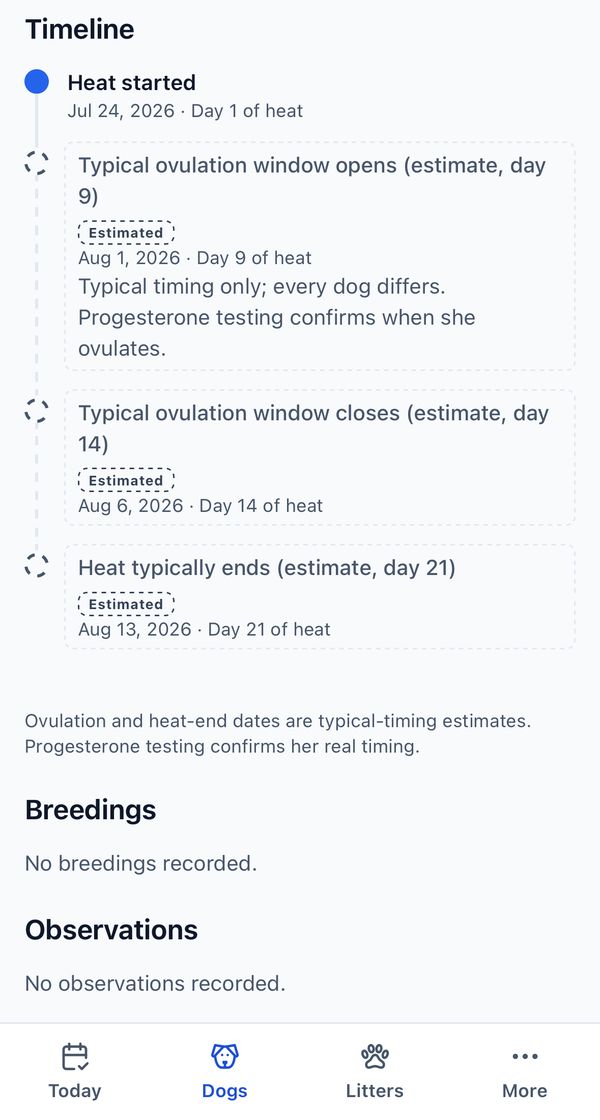 Heat cycle timeline: heat started on day 1, then the typical ovulation window and heat end, each labelled Estimated, with a note that progesterone testing confirms real timing.